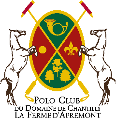 Joyeuses fêtes et bonne année 2012