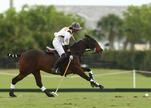 Photos-ERG vs Orchard Hill Photo 