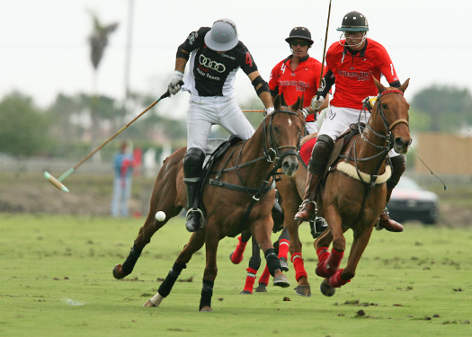 polo photos alex pacheco polo mag ipc polo club 2013 orchard hill audi polo team