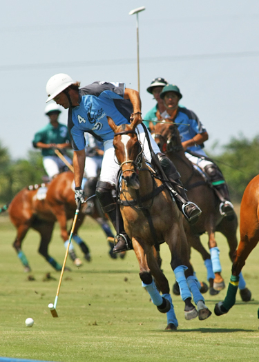 alex pacheco polo magazine Polo site polo 2013 polo time polo team polo online polo.com international polo club polo usa polo wellington florida. 6