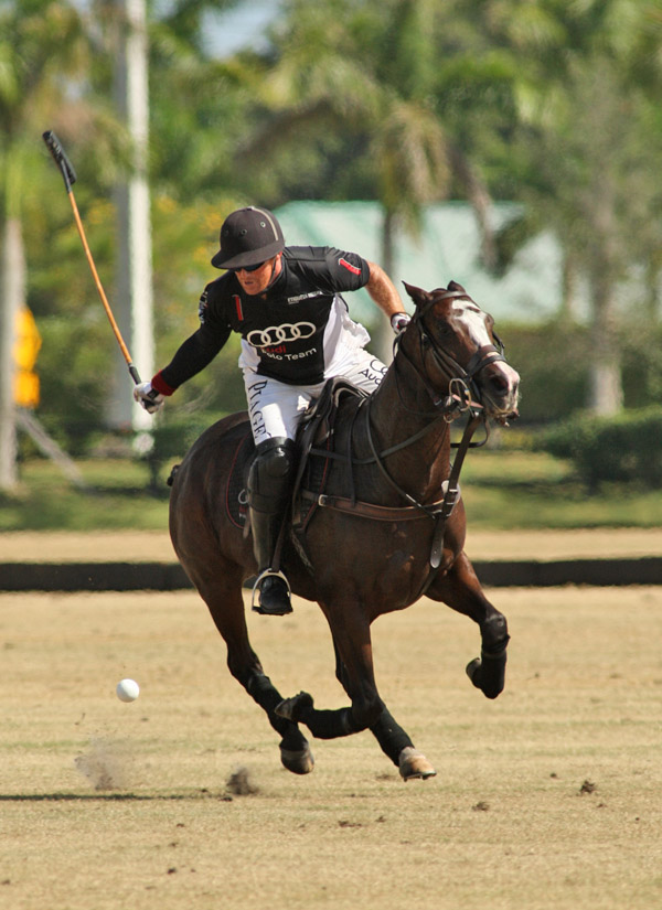 audiberlinpoloteamnorthamericanpolocuppolomagazine 2