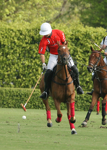 butlerhandicap polo tournament magazine the 7