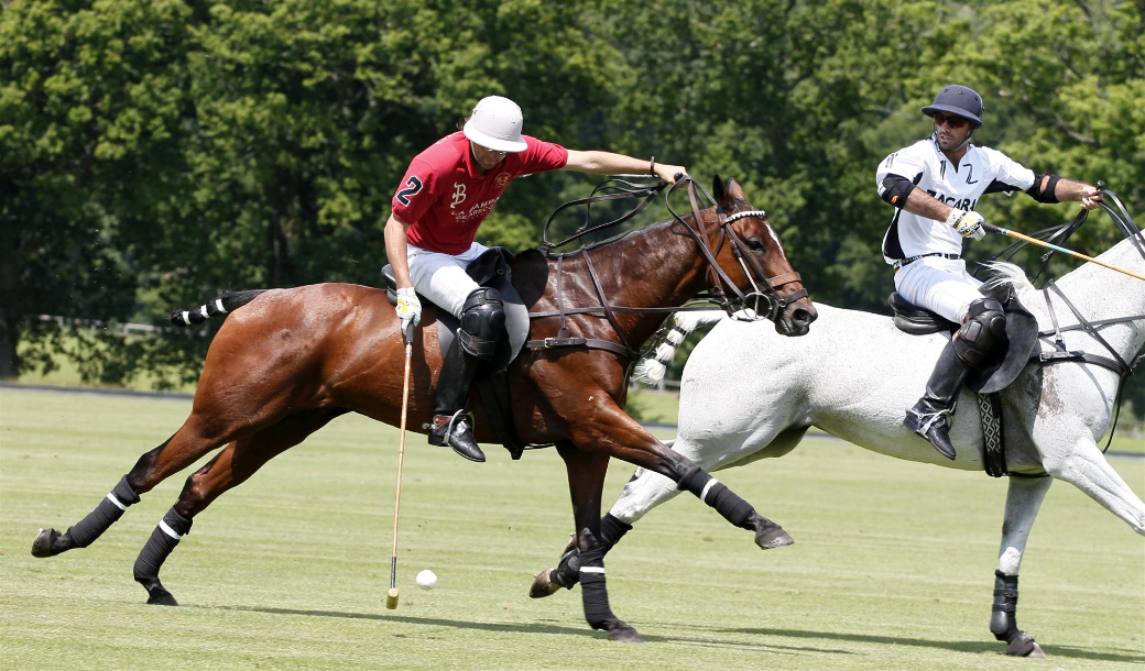 Go-Polito Pieres