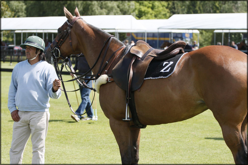 Guards Polo Club Queens Cup Polo Tournament 2013 POLO Magazine 11