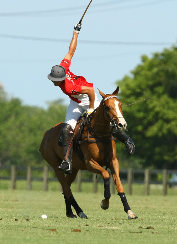 audi polo team elg polo team 5