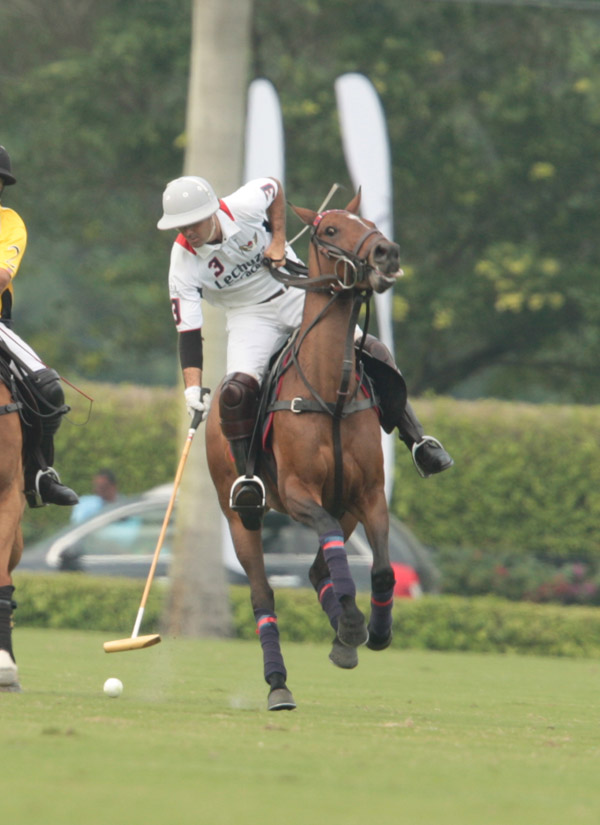 PhotosLechuza Caracas Faraway polomagazine 6