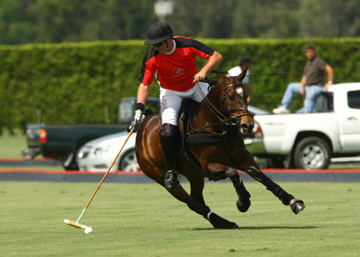 polo magazine US Open polo photos-Alegria ERG polo team 6